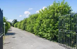 Villa Limoneto - Case Monterosso