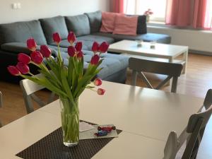 Apartament Zofia