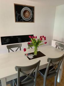 Apartament Zofia