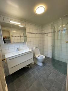 Apartament with access to garden, central, quiet and with free parking