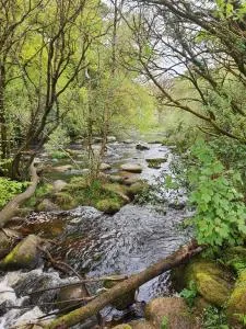 Badgers Holt House - 阿什伯顿