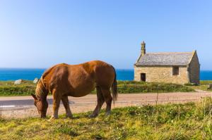 Maisons de vacances AN TEVENN - Maison entierement renovee a 600m de la mer : photos des chambres