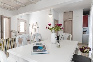 Villa Nektar, Luxury Apartment in Chora Naxos