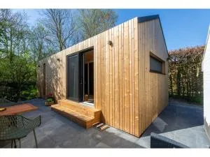 Tiny house on the edge of the forest in Zoutelande - Meliskerke