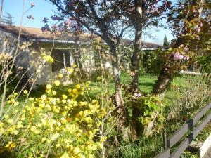 B&B / Chambres d'hotes Chambre d'hotes 