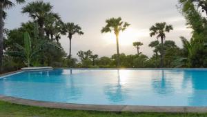 Palm Springs Bali Dive Resort