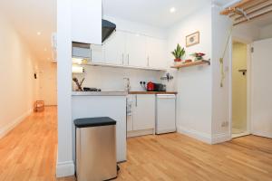 Bright 2-bed garden flat with skylights in Chelsea