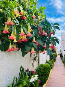 Apartamento- loft en recinto privado - Terapia Salada