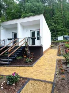 Viking Rożnów - روجنوف