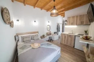 VOLTO Suite - Kóronos