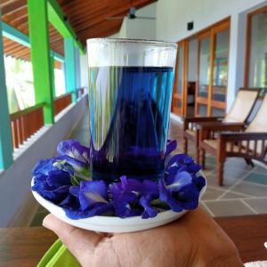 Atulya Lake View Mirissa - Resort and Spa