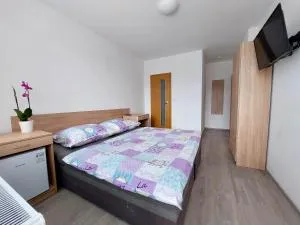 Penzion Strachotín - 下维斯特尼采