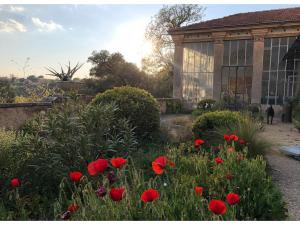 Maisons d'hotes Villa Bam Bam : photos des chambres