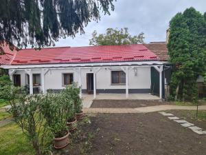 Peaceful&Central apartment with garden
