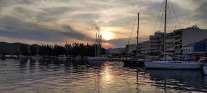 Chrysas cottage house