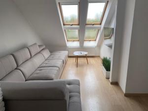 Apartament u Uli