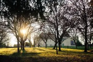 Domaine Truffier du Grand Merlhiot - Sorges