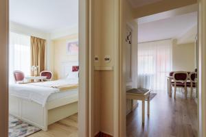 Hotel Central - Baile Olanesti