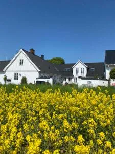 Vejle Golf Apartments - Børkop