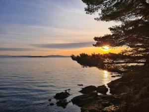 Apartment Zaglav 3 - first sea row