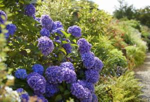 The Dairy Pembrokeshire