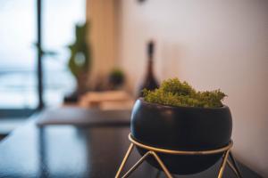 Ribeira Grande Ocean View Apartment