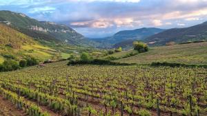 Maisons de vacances La Garance Voyageuse : photos des chambres