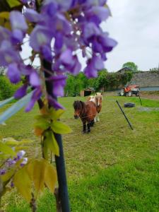 B&B / Chambres d'hotes Le Domaine de Pivette : photos des chambres