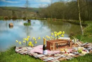 Woodland Cottage Devon - Meshaw