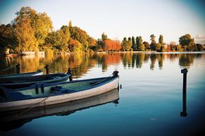 Maisons d'hotes O Cottage : photos des chambres