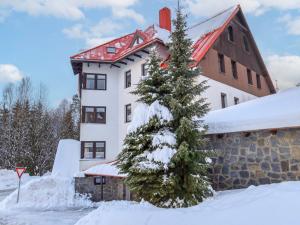 Apartment Nový Svět 562 by Interhome