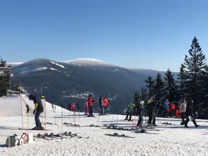 Apartment Nový Svět 562 by Interhome