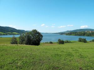 Apartment Waldfrieden by Interhome