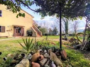 Apartment La Pergola by Interhome - Torniella