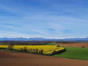 Maisons de vacances 6 Bedroom House, Pech Luna, South West France : photos des chambres