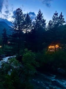 Mystic Vibes - Jibhi