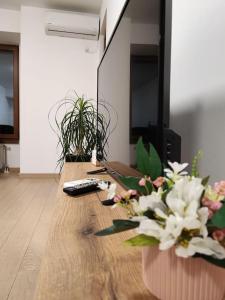 Grand View Apartment