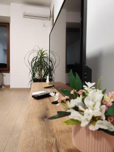 Grand View Apartment