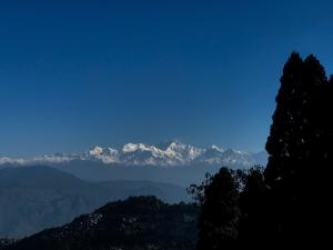 Haven Eleven Homestay