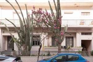Cactus Residence Chania