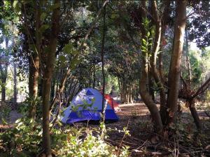 Lircaydomohostal - Domo 40m2 para 4 personas