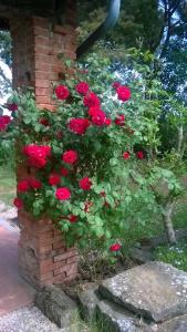 CASA INDIPENDENTE con giardino