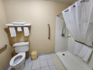 Superior Efficiency King Room - Accessible/Non Smoking room in Quality Inn