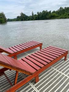 Small Cabin on river Jabukov cvet