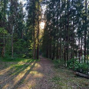 Ozolu gatve 2- no Cēsīm 7 km