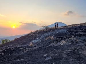 Seekend Holidays Munnar