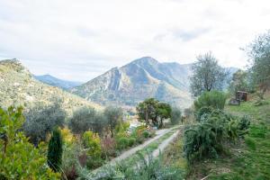 Chalets Eco Chalet , Grande Terrasse : photos des chambres