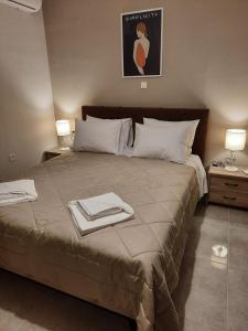 Two Brothers Apartments Tsilivi