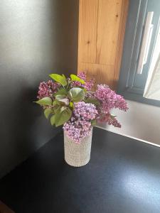 Chalets Le Chalet de Juliette : photos des chambres