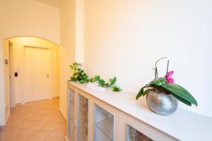 Casa Mian - Bed and Breakfast img19